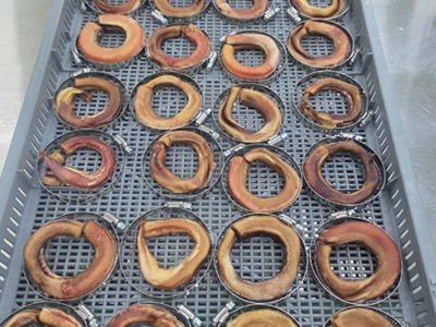 애견간식사업단